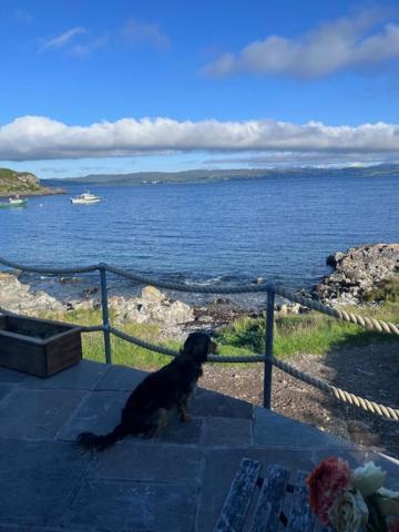 Doune Knoydart Mallaig Kültér fotó